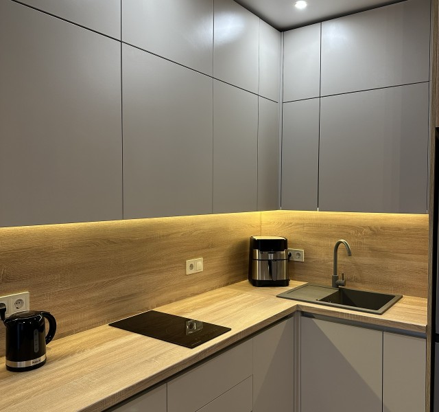 Кухня Брікс 24